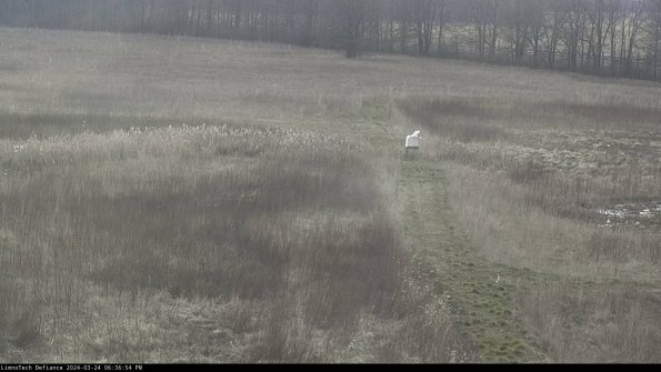 Cell 1 to 2_24-03-24_18-36-54-48