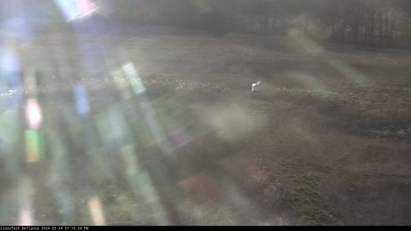 Cell 1 to 2_24-03-24_19-10-24-50