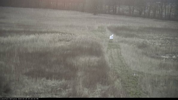 Cell 1 to 2_24-03-24_19-43-54-48