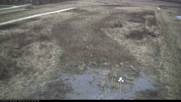 Cell 1_24-03-24_07-26-55-54