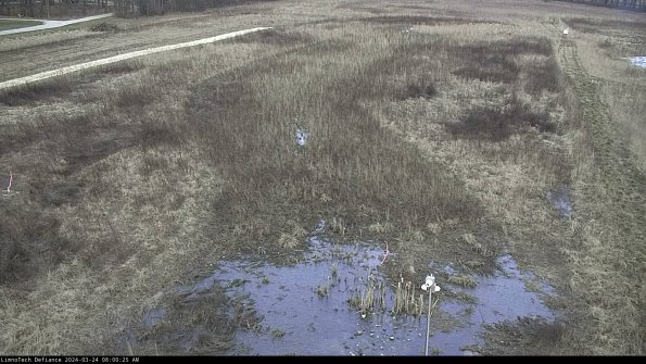 Cell 1_24-03-24_08-00-25-51