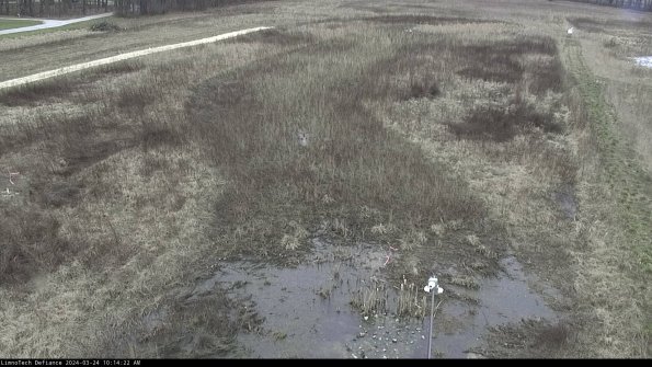 Cell 1_24-03-24_10-14-22-51