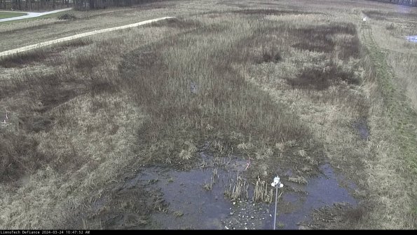 Cell 1_24-03-24_10-47-52-53