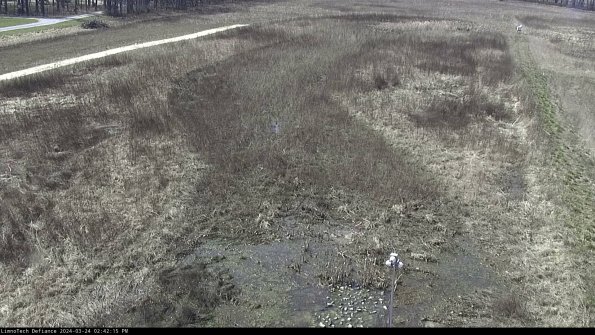 Cell 1_24-03-24_14-42-15-52