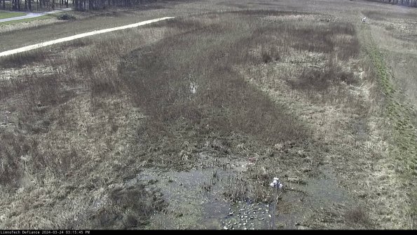 Cell 1_24-03-24_15-15-45-50