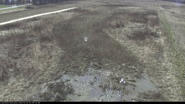 Cell 1_24-03-24_15-49-15-49