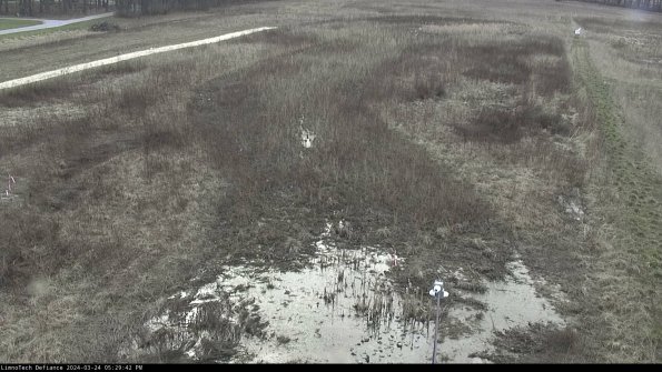 Cell 1_24-03-24_17-29-42-51