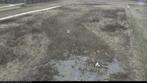 Cell 1_24-03-24_18-03-12-49