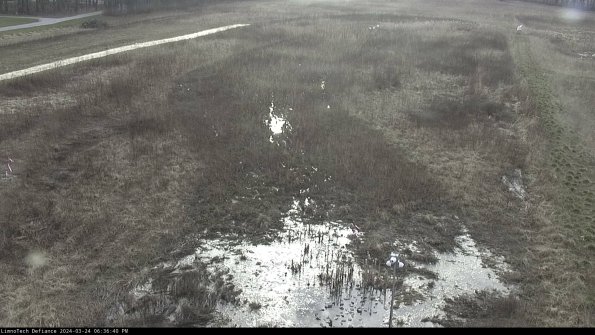 Cell 1_24-03-24_18-36-40-50