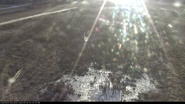 Cell 1_24-03-24_19-10-10-49