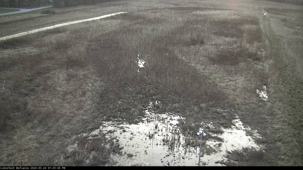 Cell 1_24-03-24_19-43-40-50