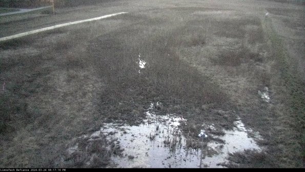 Cell 1_24-03-24_20-17-10-52