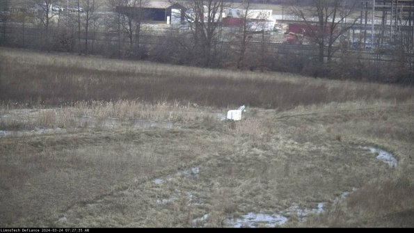 Cell 2 to 3_24-03-24_07-27-35-71