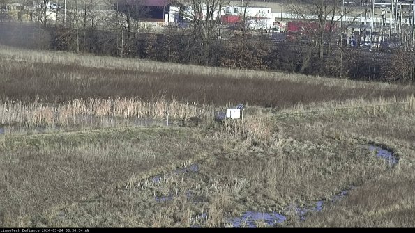 Cell 2 to 3_24-03-24_08-34-34-59