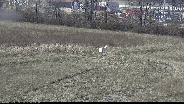 Cell 2 to 3_24-03-24_15-16-25-64