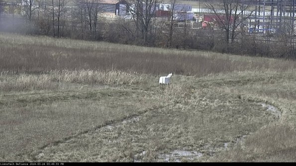 Cell 2 to 3_24-03-24_15-49-55-59