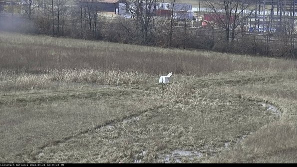 Cell 2 to 3_24-03-24_16-23-23-68