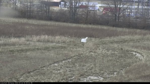 Cell 2 to 3_24-03-24_17-30-22-71