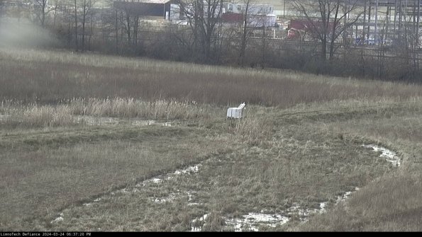 Cell 2 to 3_24-03-24_18-37-20-68