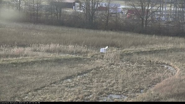 Cell 2 to 3_24-03-24_19-10-50-69