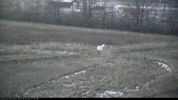 Cell 2 to 3_24-03-24_20-17-50-59