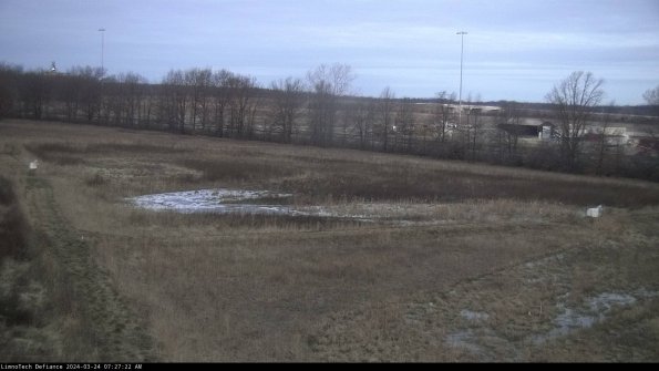 Cell 2_24-03-24_07-27-22-53