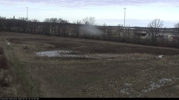 Cell 2_24-03-24_10-14-49-57