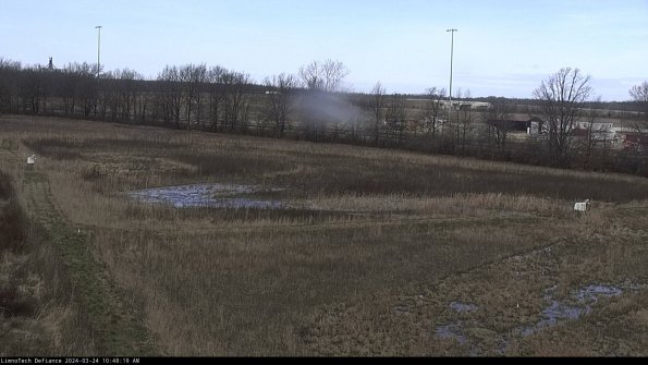 Cell 2_24-03-24_10-48-19-55