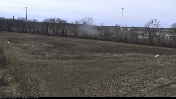 Cell 2_24-03-24_15-49-42-55