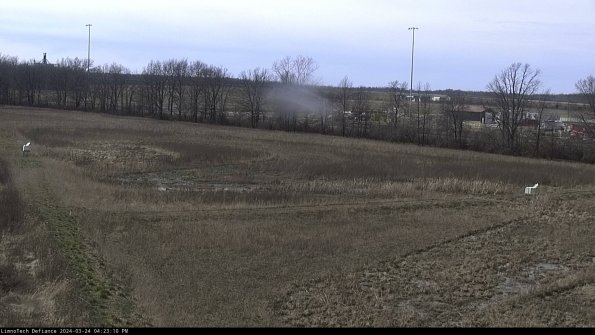 Cell 2_24-03-24_16-23-10-57