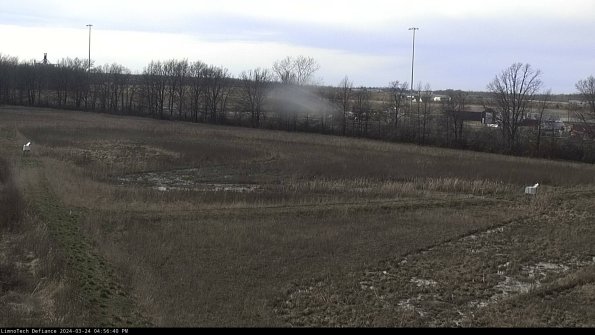 Cell 2_24-03-24_16-56-40-55