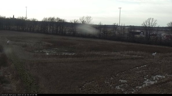 Cell 2_24-03-24_18-37-07-53