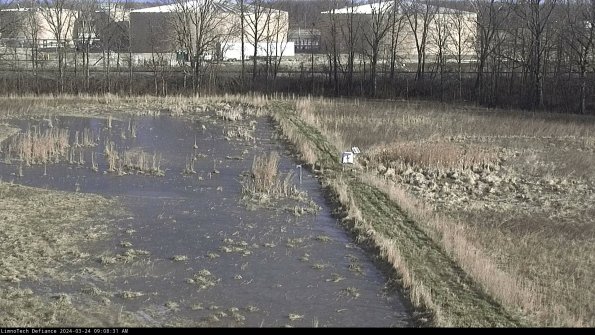 Cell 3 to 4_24-03-24_09-08-31-50