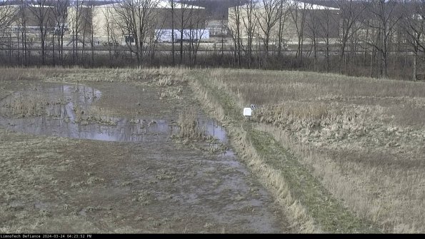 Cell 3 to 4_24-03-24_16-23-52-47