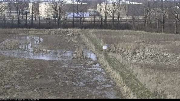 Cell 3 to 4_24-03-24_16-57-22-49