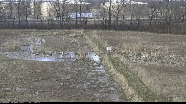 Cell 3 to 4_24-03-24_18-37-49-51