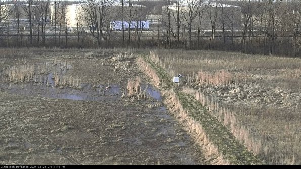 Cell 3 to 4_24-03-24_19-11-19-52