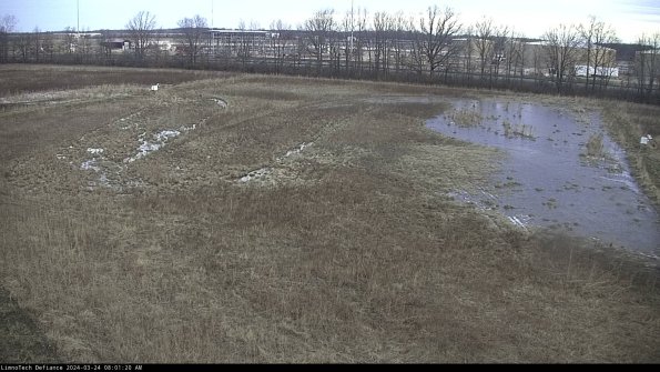 Cell 3_24-03-24_08-01-20-50