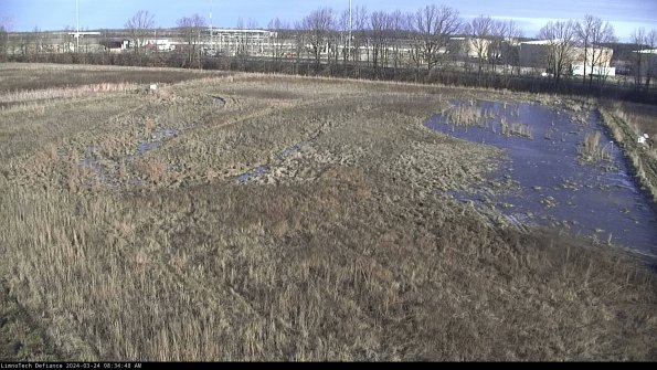 Cell 3_24-03-24_08-34-48-74