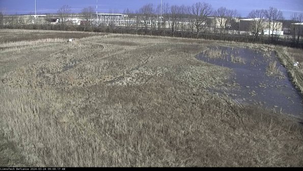 Cell 3_24-03-24_09-08-17-52