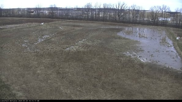 Cell 3_24-03-24_10-15-17-54