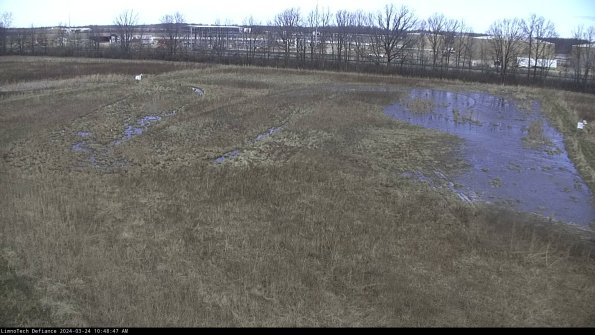 Cell 3_24-03-24_10-48-47-51