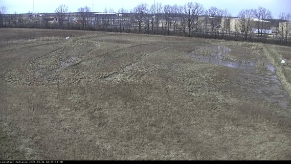 Cell 3_24-03-24_16-23-38-49