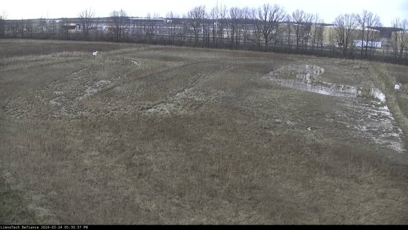 Cell 3_24-03-24_17-30-37-50