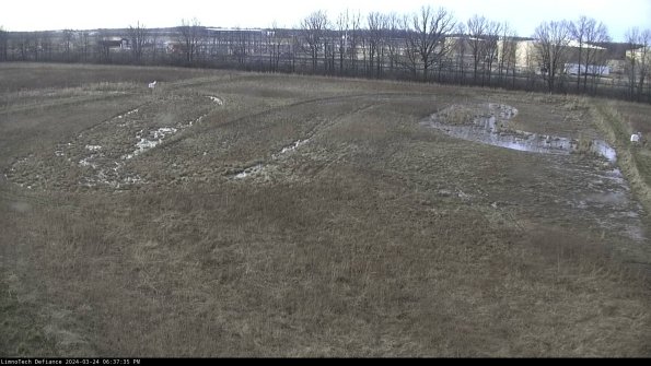 Cell 3_24-03-24_18-37-35-53