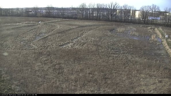 Cell 3_24-03-24_19-11-05-51