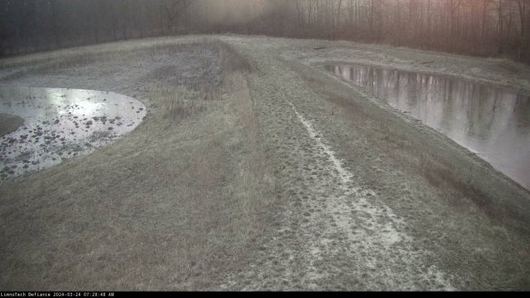 Cell 4 to Basin_24-03-24_07-28-48-52