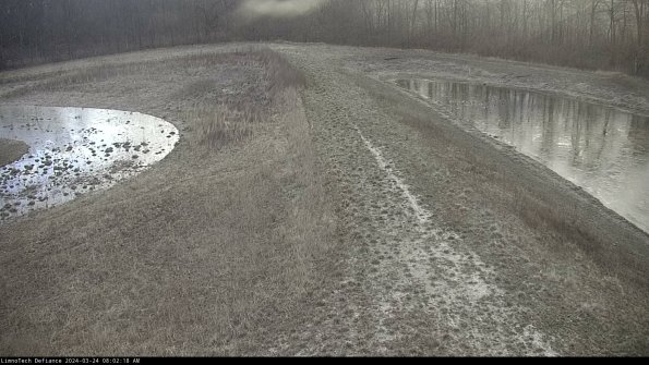 Cell 4 to Basin_24-03-24_08-02-18-49