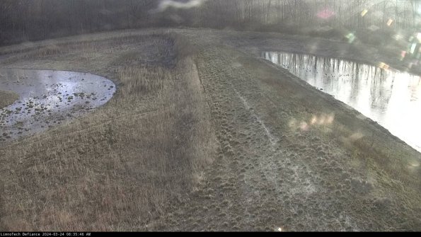 Cell 4 to Basin_24-03-24_08-35-46-53