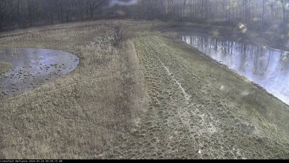 Cell 4 to Basin_24-03-24_09-09-15-51